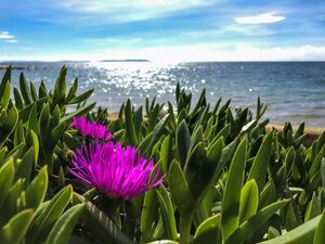 Camping à La Londe les Maures en bord de mer