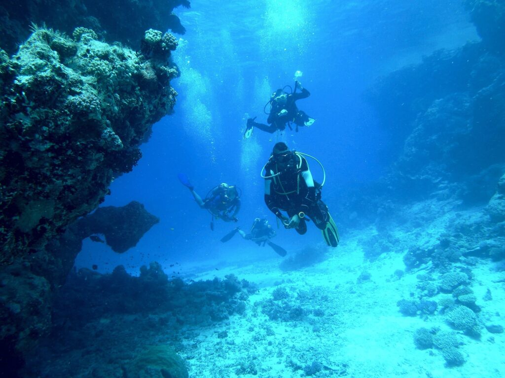 Plongée sous-marine dans le Var