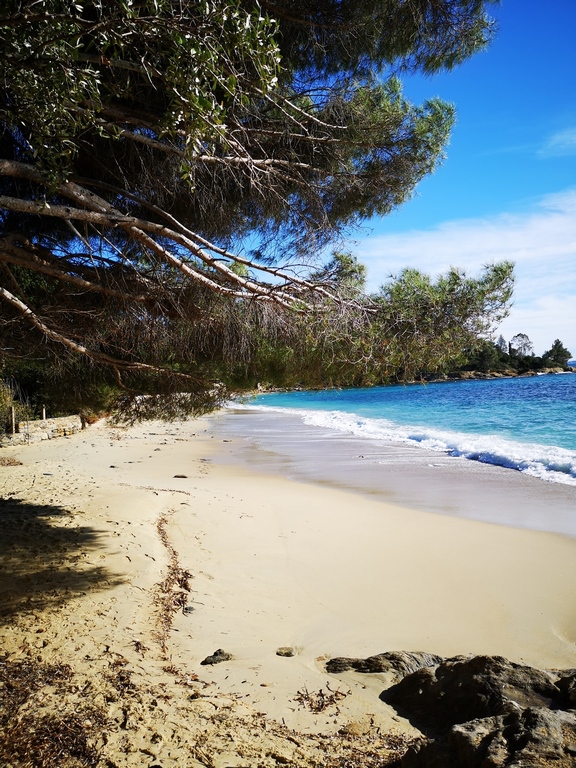 Plage de La Fossette - Le Lavandou Plage de La Fossette - Le Lavandou