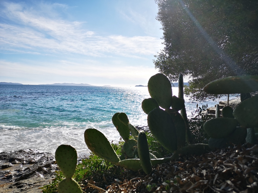 Vue de la Plage de La Fossette au Lavandou