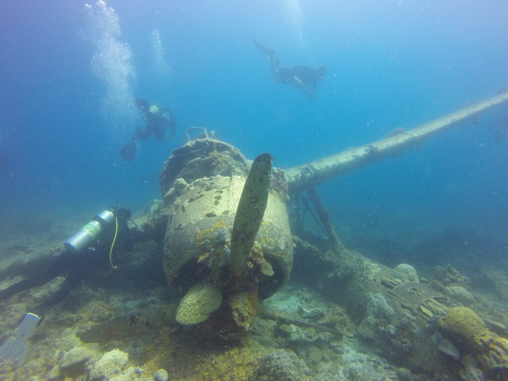 L’attribut alt de cette image est vide, son nom de fichier est seaplane-1149100_1920-1024x768.jpg.