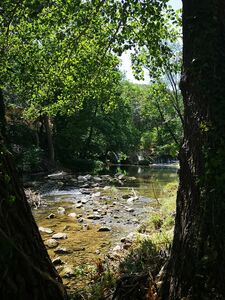 Parc Entrecasteaux dans le Var