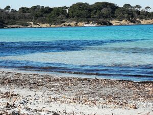 Plage à Porquerolles