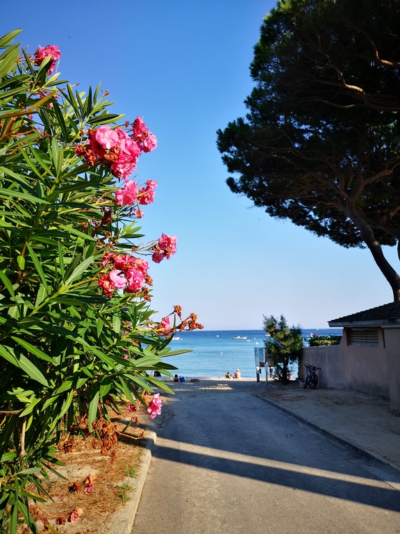 Plage de Pramousquier