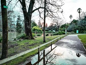 Parc Olbius à Hyères