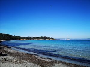 Plage d'argent à Porquerolles