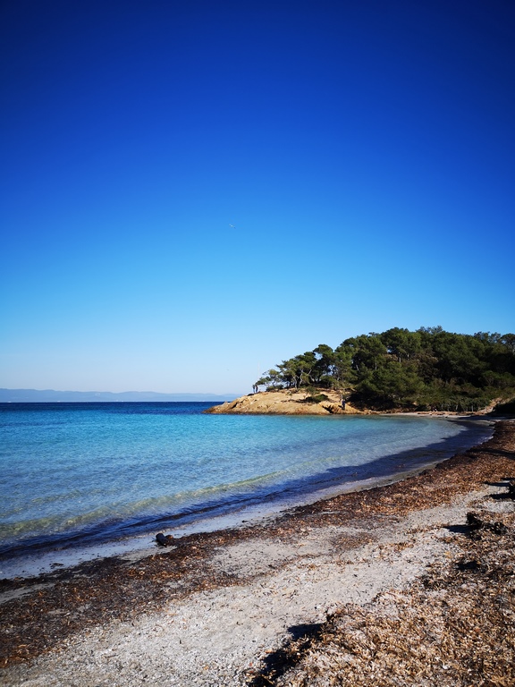 Plage d'Argent Porquerolles à 30 min du Camping de La