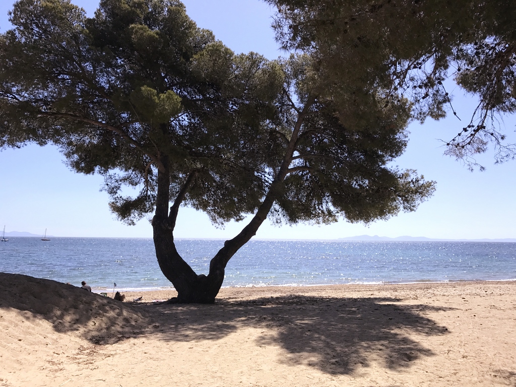 Ombre ou soleil, vous avez le choix à la plage de l'Argentière