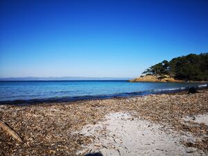 Vacances à Porquerolles