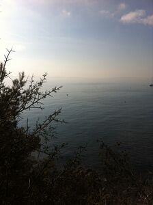 Vue du sentier du littoral de Giens