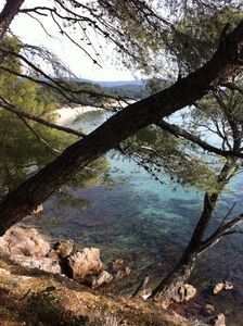 Vue du sentier du littoral de la presqu'île de Giens
