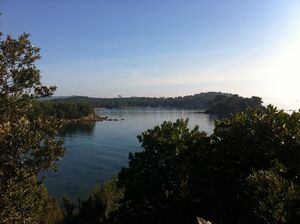 Littoral Giens près de Hyères
