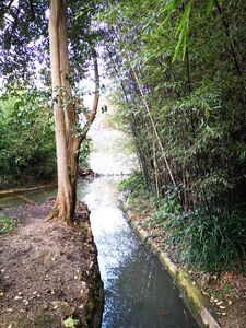 Parc Olbius à Hyères