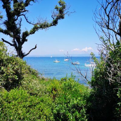 Plage de l'Aiguade à Porquerolles sur la Côte d'Azur