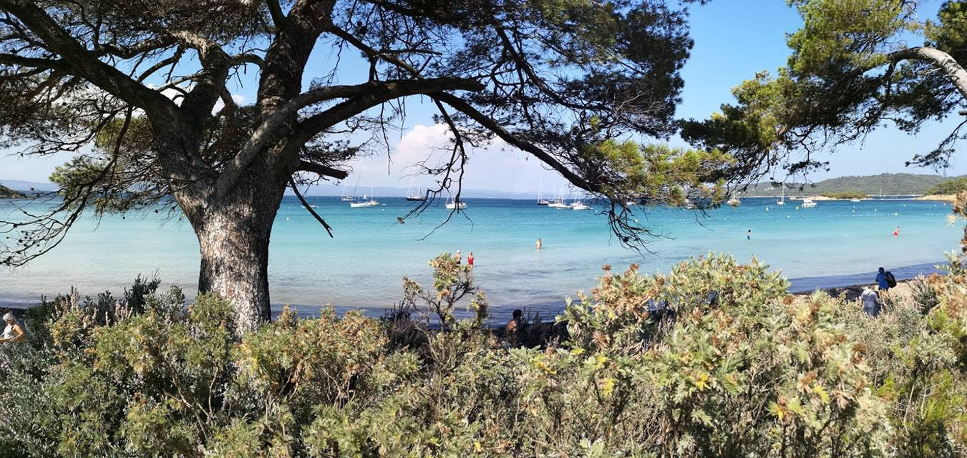 Du camping à Porquerolles navette au port de La Londe