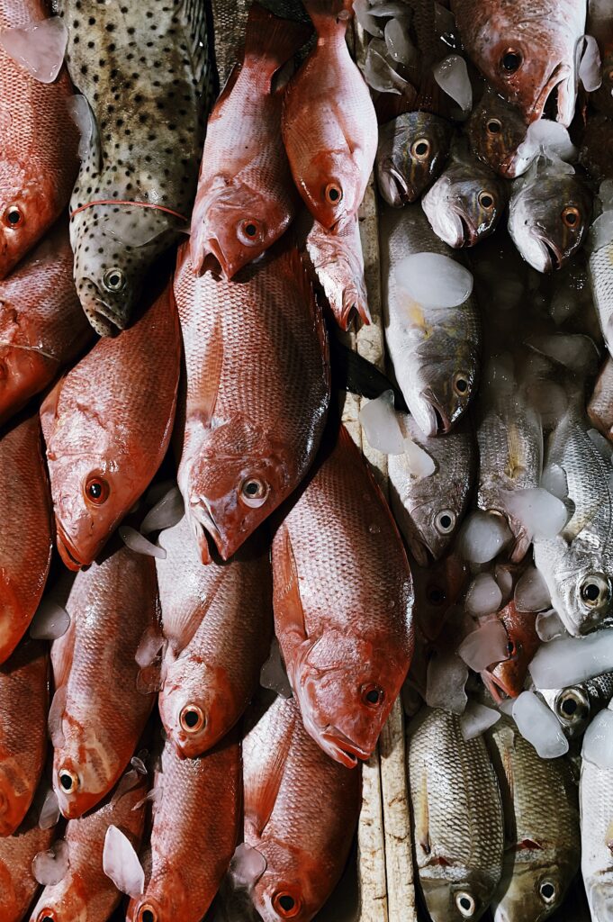 Poissons pour La bouillabaisse, plat de la Provence !