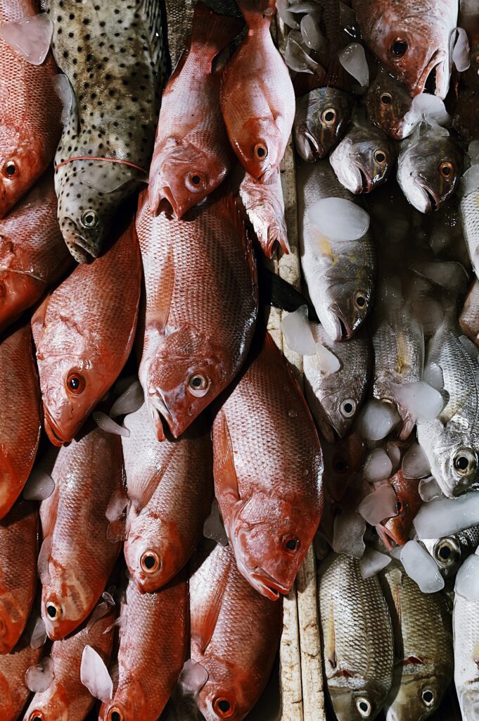 Poissons pour La bouillabaisse, plat de la Provence !