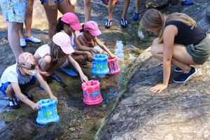 Enfants avec des seaux les pieds dans l'eau