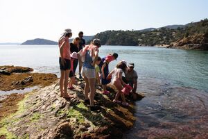 Activités familiales les pieds dans l'eau