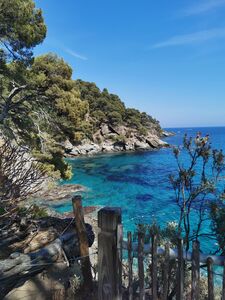 Vue de la Pointe du Figuier