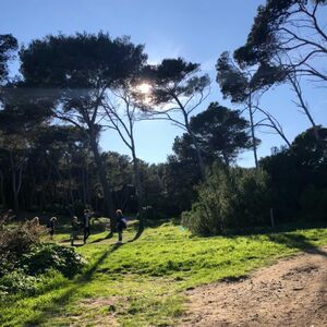 Plage Four à Chaux à Hyères