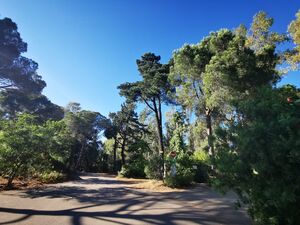 Camping ombragé dans le var