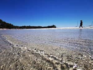 Camping Var proche de la plage de l'Estagnol