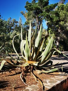 Camping Vert dans le Var