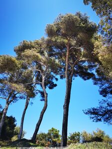 Vacances plage de l'Estagnol dans le Var