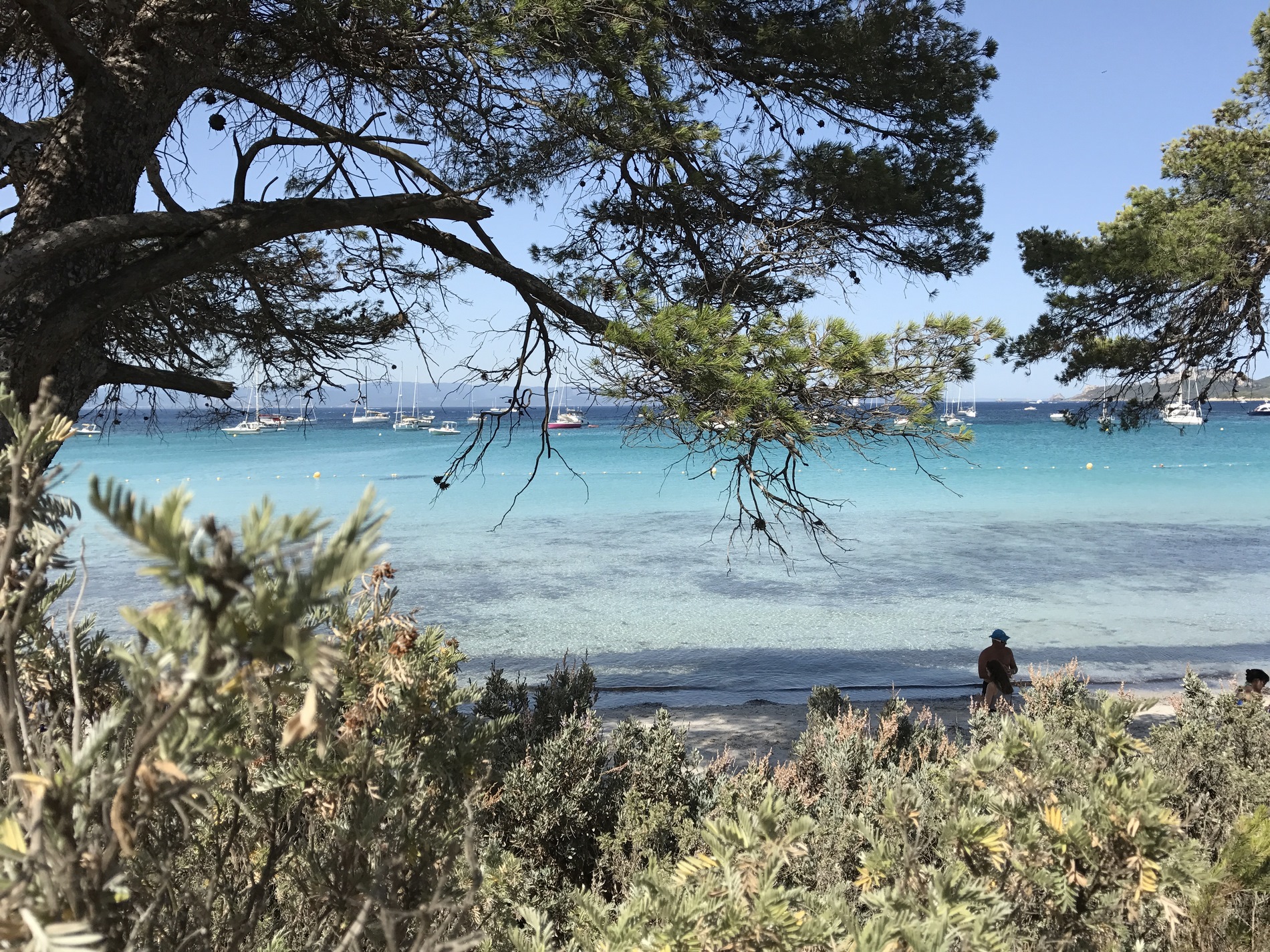Camping dans le Var en bord de mer