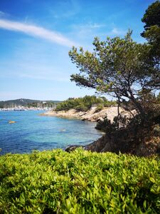 Camping Ile Porquerolles