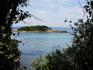 Camping Var en bord de mer Ile Porquerolles