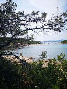 Camping Var en bord de mer à Porquerolles Pointe Prime