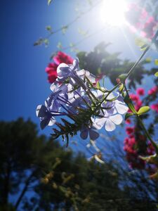 Camping Nature dans le Var