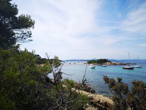 Pointe Prime à Porquerolles dans le Var