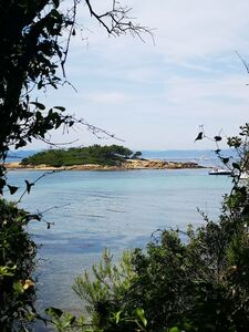 La pointe Prime à Porquerolles