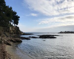 Plage sable et rochers en bord de mer