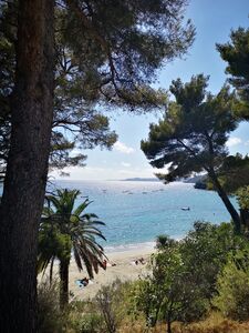 La Plage du Rayol avec ses arbres