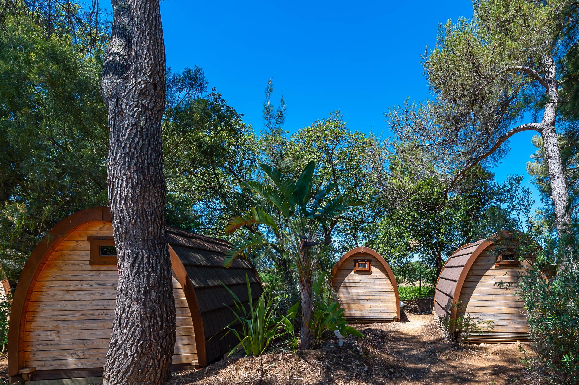 Location de cabanes en camping dans le Var