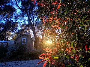 Camping économique et nature dans le Var