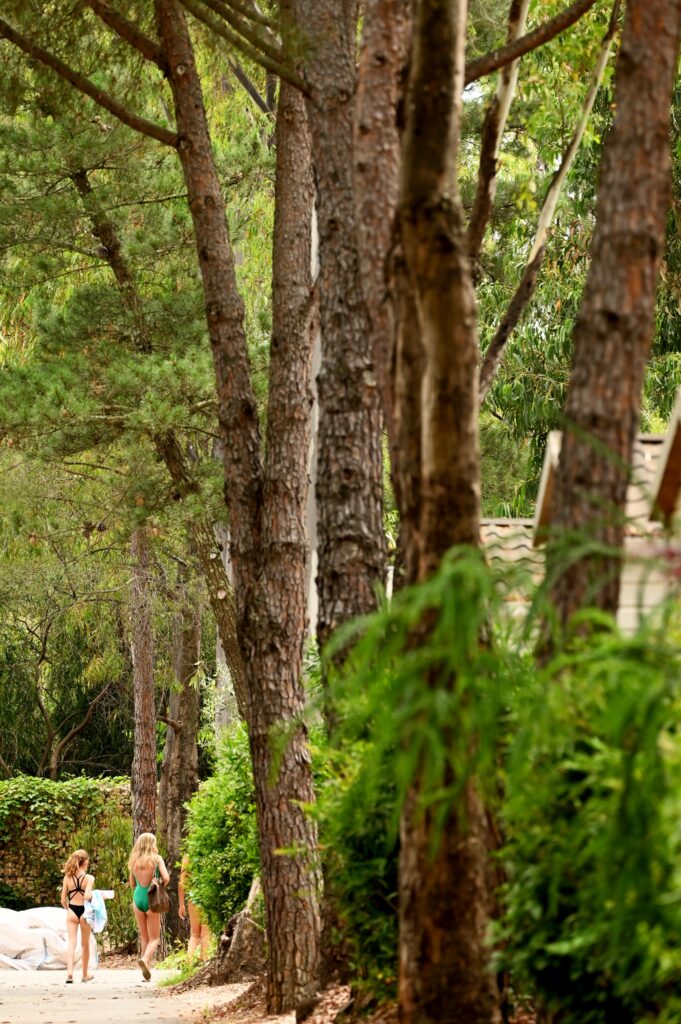 An eco-aware campsite in the Var, French Riviera-Côte d'Azur