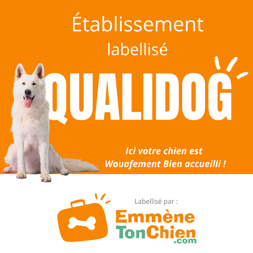 Label Qualidog pour le camping Les Jardins de La Pascalinette à La Londe. Votre camping 4 étoiles dog friendly dans le Var