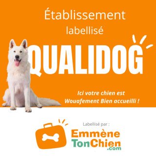 Emmène ton chien au camping 4 étoiles Les Jardins de La Pascalinette ® !