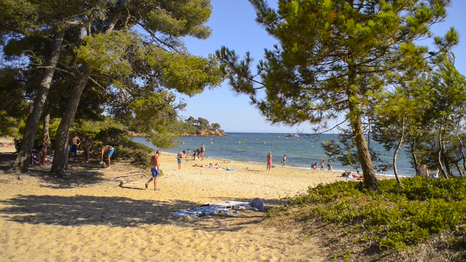 Pinède ombragée sur la plage du Pellegrin à la Londe