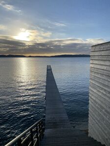 Visiter Porquerolles et les Îles d'Or