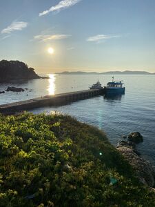 Giens Porquerolles Îles d'Or