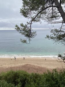 Plage naturelle dans le Var