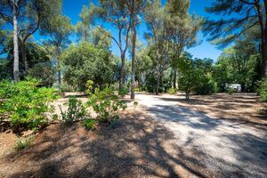 Emplacement caravane nature en camping écologique La Londe