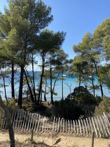 Plage de sable ombragée à Bormes