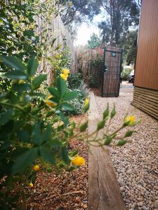 Camping nature mobile-home luxe